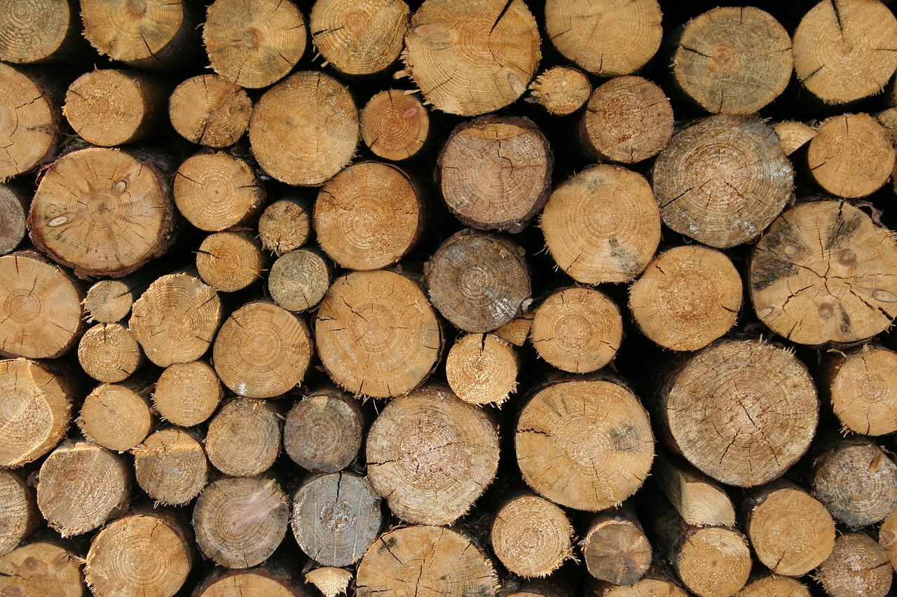 Logs site. Odun. Плюшевое бревно. Wood log background.