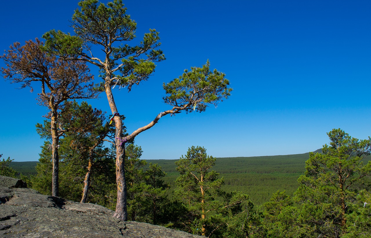 Зеренда казахстан фото