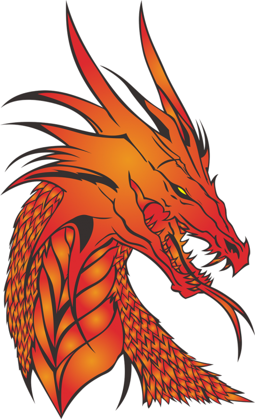 Download free photo of Dragon,no background,the head of the,monster ...